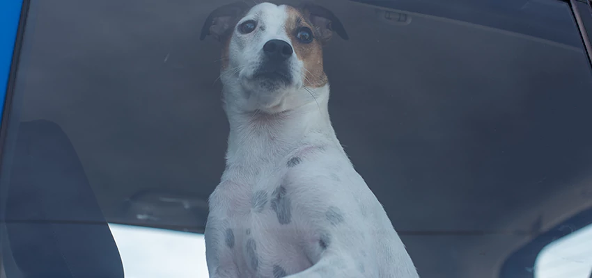 Car Lockout Solutions in Palm Desert, California